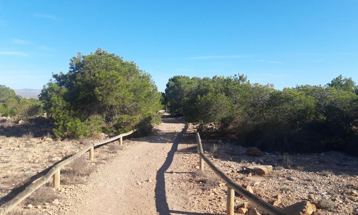 Spanish Sun - 500 M From The Beach Arenales del Sol Extérieur photo